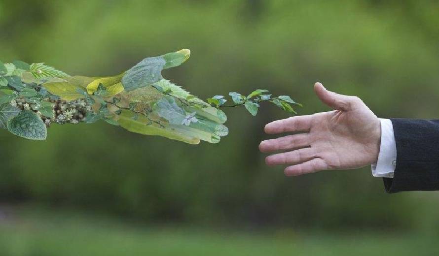 Çevre Koruma ve Atık Yönetimi Politikası